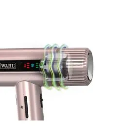Wahl Rose Gold Vanquish Hair Dryer