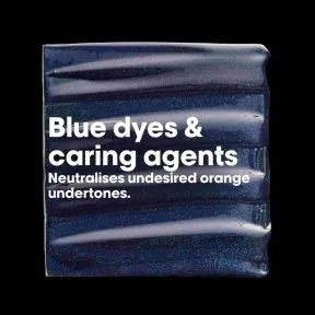 L'Oréal Professionnel Serie Expert Vitamino Color Spectrum Blue Shampoo 300ml