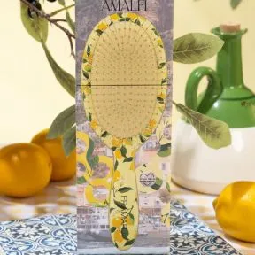 Framar Limoncello Amalfi Detangle Brush