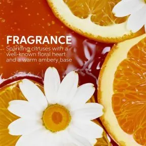 Wella Professionals Ultimate Smooth Miracle Oil Serum 100ml