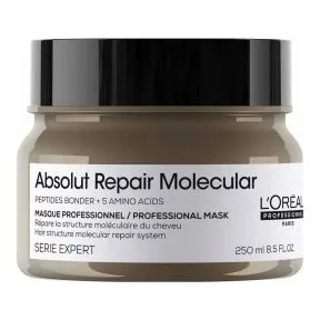L'Oral Professionnel Serie Expert Absolut Repair Molecular Mask 250ml